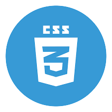 Image of a CSS logo